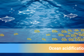 https://www.iaea.org/sites/default/files/styles/thumbnail_165x110/public/2206worldoceansday2022-whatisoceanacidification-v21cover.png?itok=u4bvXZZn