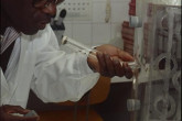 A specialty of the IAEA laboratory is pest control by the sterile insect technique, in which large numbers of insects are reared and sterilized before being released to mate with the pest population.  Scientist working on separation of males and female tsetse flies using a flytrap. 1993-1997. Please credit IAEA
