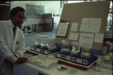 A wordwide network of research co-operation was established to enable interaction between IAEA scientists and research institutes in its Member States with an emphasis on agricultural and life sciences, especially in developing countries. Crop modification using mutation breeding was the objective of several such programmes. 1984-1986. Please credit IAEA/DAGLISH James
