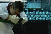 An inspector uses a Cerenkov Viewing Device to detect the Cerenkov radiation emanating from irradiated fuel assemblies (shown in insert on the right). Inspectors work to verify that safeguarded nuclear material and activities are not used for non-peaceful purposes. The Agency has about 245 inspectors who go on approximately 2 000 missions each year to inspect nuclear power plants, research reactors, conversion, fuel fabrication, reprocessing, enrichment and storage facilities.