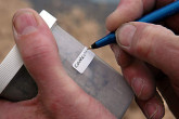 An inspector labels a sample of sulphur phosphate, which contains a small amount of uranium. Photo Credits: Pavlicek/IAEA