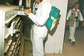 IAEA Inspectors examine files looking for evidence of fissile material production.Photo Credits: Action Team 1991-1998/IAEA
