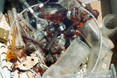 Equipment that was removed from a laboratory at Iraq's Tuwaitha Nuclear Research Centre.
Photo Credits: Action Team 1991-1998/IAEA 