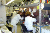The IAEA has its own experts and facilities, through its Safeguards Analytical Laboratory in Austria, experienced in sample measurement and analysis, including hundreds of samples from the 1990s Iraq inspections. Photo Credits: Dean Calma/IAEA Nov 2002