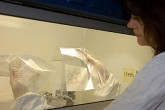 The sample receiving area in the Clean Laboratory. Photo Credits: D. Calma/IAEA 19 December 2002