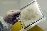 A "swipe" sample collected on cotton cloth by inspectors in Iraq. Photo Credits: D. Calma/IAEA 19 December 2002