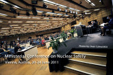 &copy; IAEA