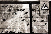 Children's Artwork Chernobyl
&copy; IAEA