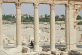 Syria's economy is rooted in agricultural fields, like those near the ancient oasis city of Palmyra and along the banks of the Euphrates river.
Photo credit: L. Wedekind / IAEA 