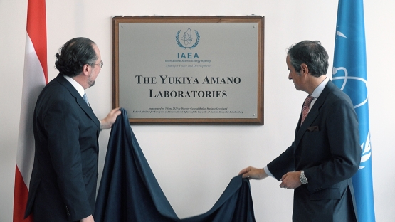 DG Grossi and Austrian foreign minister Schallenberg unveil plaque
