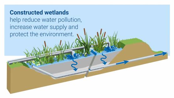 Constructed wetland schematic diagram: A new IAEA CRP is aimed at developing radioactive tracer methodologies for hydrodynamics studies of such engineered systems to treat contaminants in surface water. (IAEA graphic based on Graphithèque/Adobe Stock)