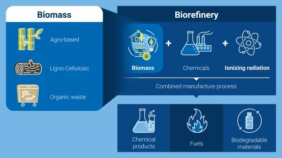 A new IAEA project will focus on radiation processing of biomass feedstocks to provide new bio-based and biodegradable plastic solutions, and increase the use of these renewable resources for bioenergy and other chemical compound production.