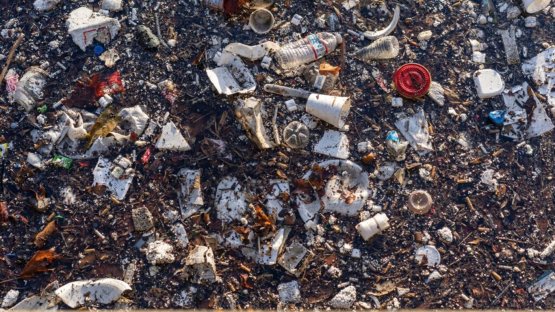 Plastics and microplastics that accumulate in soils can impact soil properties. A new Coordinated Research Project (CRP) will assess the environmental impact of plastics in soil and crop ecosystems. (Photo: J.Adu-Gyamfi/IAEA)