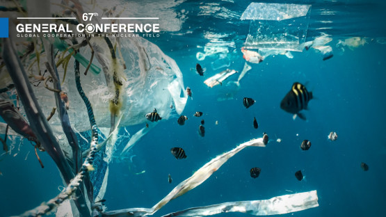 Fish swimming close to plastic in the ocean