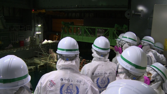 Iaea fukushima mission report template