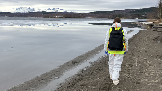 Five Countries Join IAEA's Radiation Monitoring System