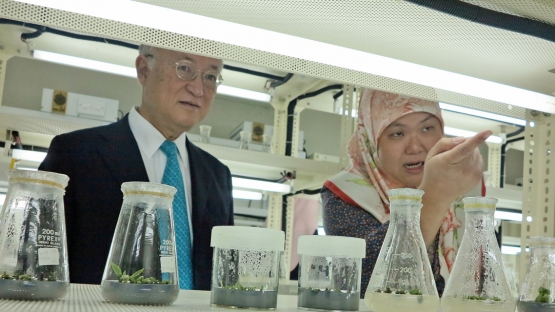 IAEA Director General Yukiya Amano learns about ongoing work at the Brunei Agricultural Research Centre.