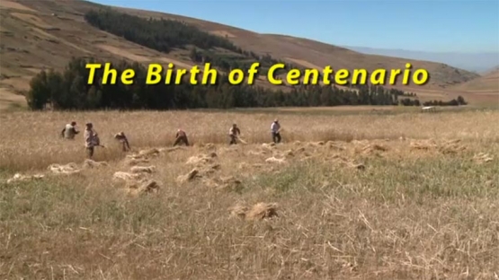 The Birth of Centenario