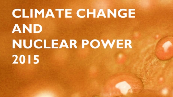 Climate Change and Nuclear Power 2015