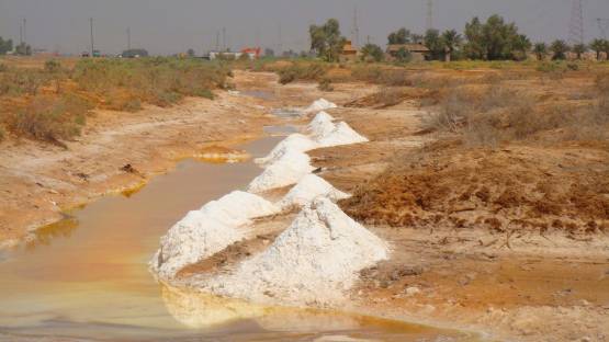 Due to poor farming practices in Iraq, saline lands are widespread in the country.