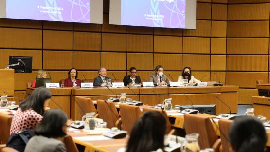 IAEA Hosts its Ninth Workshop for Diplomats on Civil Liability for Nuclear Damage