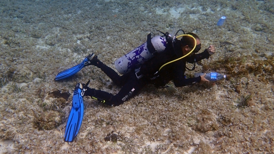 A scientist collects samples to test for harmful algal blooms in the ocean. These microorganisms release toxins that can make people sick, harm ocean life and cost millions of dollars in lost seafood revenues. (Photo: IAEA)