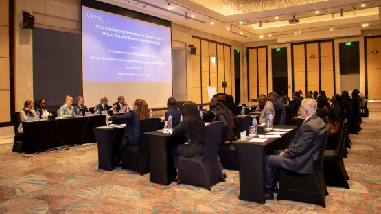 IAEA Concludes Subregional Nuclear Law Workshop for English-Speaking African Member States 