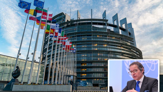 Grossi - European Parliament