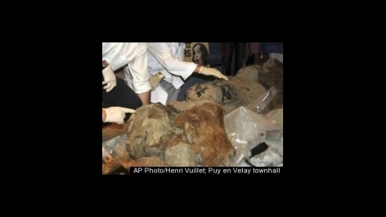 mammoth