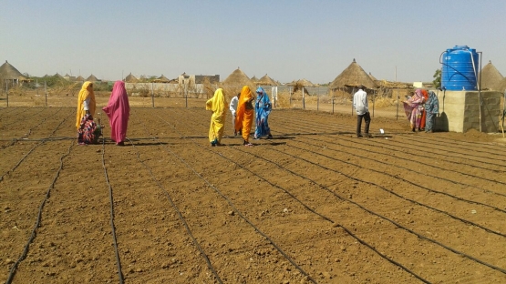 International Year of Soils: Sundanese Farmers Improve Productivity Thanks to Isotopic Techniques 