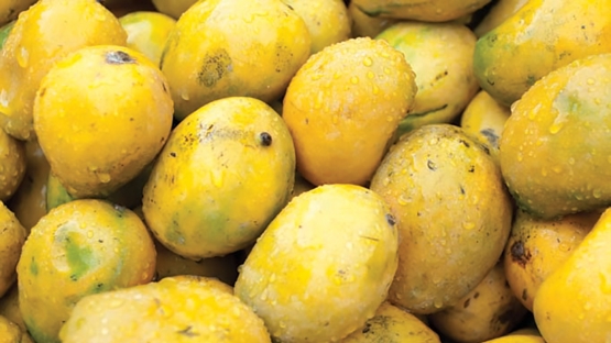 Irradiation opens the door for exports