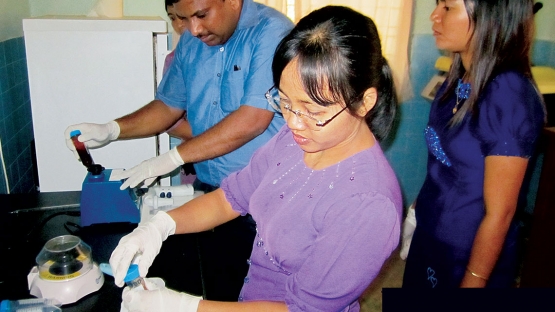 Molecular laboratory supports sustainable growth of Myanmar livestock sector