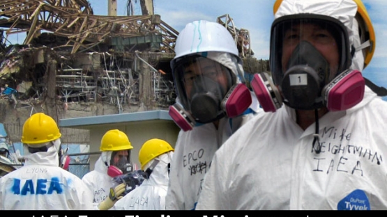 A team of international nuclear safety experts recently completed a preliminary assessment of the safety issues linked with TEPCO's Fukushima Daiichi Nuclear Power Station accident following the earthquake and tsunami that struck Japan in March 2011. The team - created by an agreement of the IAEA and Government of Japan - sought to identify lessons learned from the accident that can help improve nuclear safety around the world.