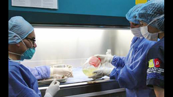 Training tissue bank technicians