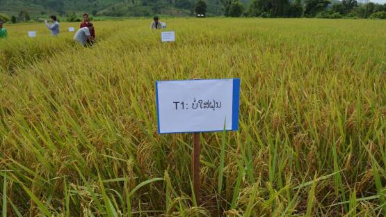 TC project, LAO5004 - Enhancing National Capability for Crop Production and Controlling Trans-Boundary Animal Disease (2018-2020)