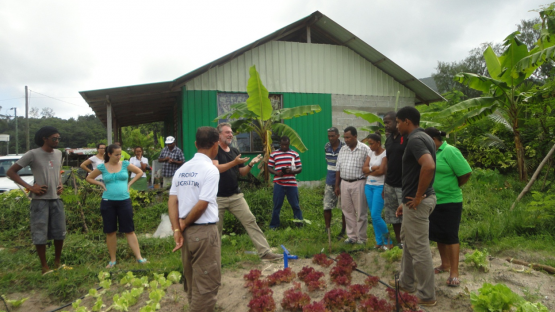 World Environment Day: IAEA supports the Seychelles with irrigation and soil management