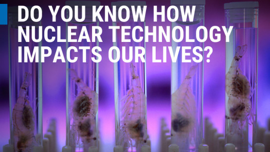 From enhancing cancer care and food safety to protecting ecosystems and improving water management, nuclear techniques are driving innovative solutions to global challenges. Dive into these stories to learn how the IAEA and its partners are making a difference in health, agriculture, energy and the environment.