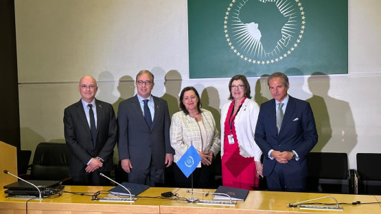 St. Jude executive vice president and director of St. Jude Global, Carlos Rodriguez-Galindo; St. Jude Faculty Chair and Head of the Radiation Oncology Department, Tom Merchant; IAEA Director of the Division of Human Health May Abdel-Wahab; Director of the