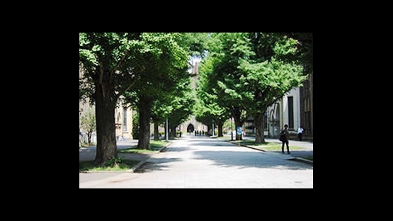 The Tokyo University campus in Japan.