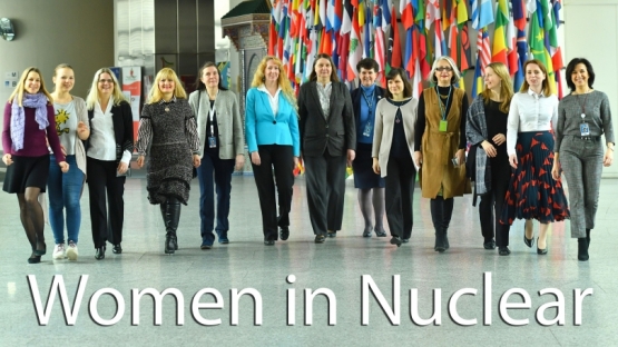 <p>Despite increases in female enrolment in both secondary and higher education, women remain underrepresented in <em>science, technology, engineering and mathematics</em>, commonly referred to as “STEM” subjects.</p>
<p>We know that seeing role models in these fields can help counter stereotypes and unconscious biases about what a nuclear scientist looks like. This International Women’s Day, some IAEA colleagues with STEM backgrounds shared their stories, hoping to inspire young women to pursue STEM careers.</p> 
<p>We asked them about how they got interested in their academic subjects, challenges or highlights in their careers, and what advice they would give to youth considering careers in STEM.</p>