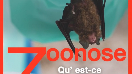 Zoonose