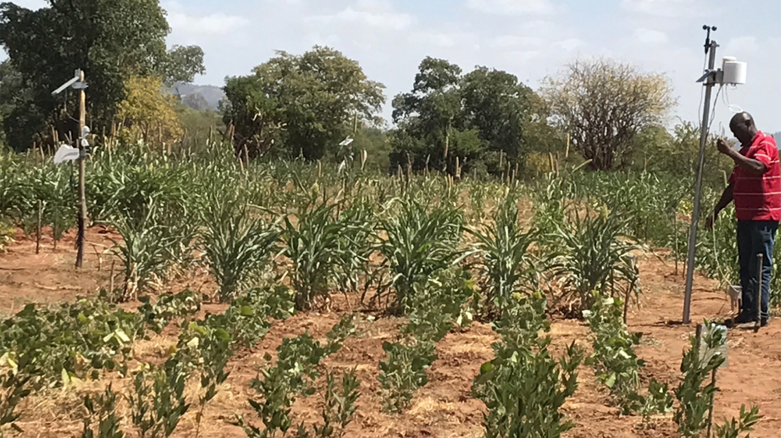 Farming on Poor Soil with Little Rainfall in Kenya's Drought-prone Areas: Isotopes Used to Develop New Strategies